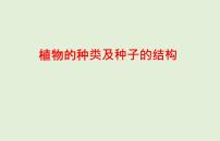 2021年春人教版生物中考教材梳理：第3单元 植物的种类及种子的结构  课件