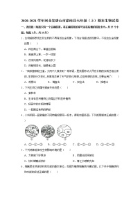 2020-2021学年河北省唐山市滦南县七年级（上）期末生物试卷    解析版