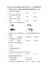 2020-2021学年河北省唐山市滦州市八年级（上）期末生物试卷   解析版