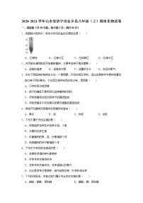 2020-2021学年山东省济宁市金乡县八年级（上）期末生物试卷    解析版