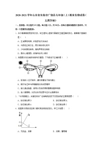 2020-2021学年山东省东营市广饶县七年级（上）期末生物试卷（五四学制）    解析版