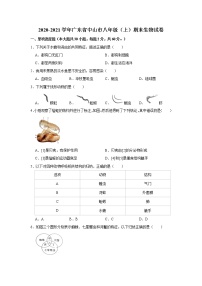 2020-2021学年广东省中山市八年级（上）期末生物试卷    解析版