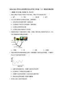 2020-2021学年山东省枣庄市山亭区八年级（上）期末生物试卷    解析版