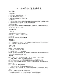 生物八年级下册第二节 基因在亲子代间的传递教案