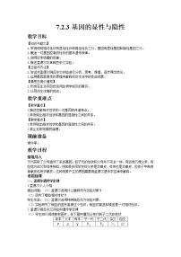 初中生物人教版 (新课标)八年级下册第三节 基因的显性和隐性教案