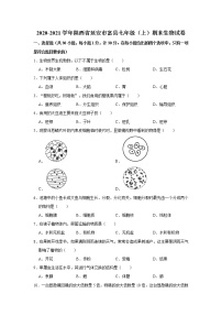 2020-2021学年陕西省延安市富县七年级（上）期末生物试卷   解析版