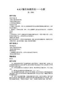 初中生物人教版 (新课标)七年级下册第三节 输送血液的泵──心脏第二课时教案