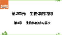 2021年中考生物北师大版复习 第4章 生物体的结构层次课件