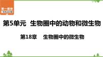 2021年中考生物北师大版复习 第18章 生物圈中的微生物 课件