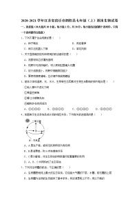 2020-2021学年江苏省宿迁市泗阳县七年级（上）期末生物试卷      解析版