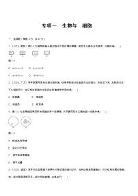 (人教版)中考生物专项一　生物与 细胞含答案