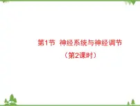 北师大版七年级下册第四单元 生物圈中的人第12章 人体的自我调节第1节 神经系统与神经调节图文ppt课件
