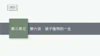 2021年中考生物总复习课件第六讲 被子植物的一生