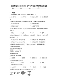 试卷 福建省福州市2020-2021学年七年级上学期期末生物试题（word版含答案）