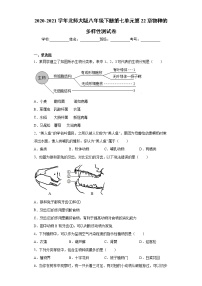 北师大版八年级下册第3节  生态系统的结构和功能同步练习题