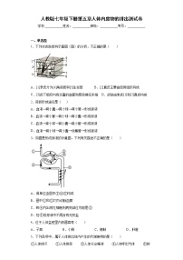 人教版 (新课标)七年级下册第五章 人体内废物的排出一课一练