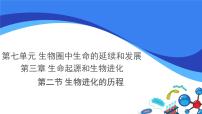 生物第七单元 生物圈中生命的延续和发展第三章 生命起源和生物进化第二节 生物进化的历程示范课课件ppt