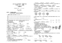 海南省2020-2021学年七年级上学期期中考试生物试题（word版 含答案）