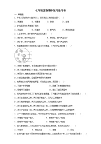 2020-2021学年人教版七年级生物下册期中复习练习题（word版 含答案）