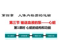 人教版 (新课标)七年级下册第三节 输送血液的泵──心脏图片课件ppt