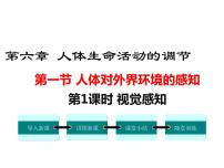 人教版 (新课标)七年级下册第四单元 生物圈中的人第六章 人体生命活动的调节第一节 人体对外界环境的感知教学演示ppt课件