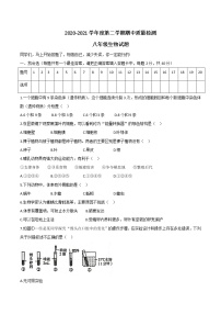 山东省济宁市金乡县2020-2021学年八年级下学期期中生物试题（word版 含答案）