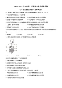 安徽省淮南市2020-2021学年七年级下学期期中生物试题（word版 含答案）