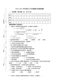 江苏省东台市2020-2021学年七年级下学期期中生物试题（word版 含答案）