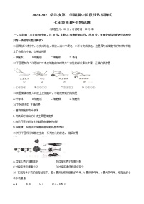 江苏省宿迁市沭阳县2020-2021学年七年级下学期期中生物试题（word版 含答案）