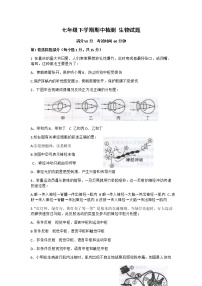 山东省泰安新泰市（五四制）2020-2021学年七年级下学期期中考试生物试题（Word版，无答案）