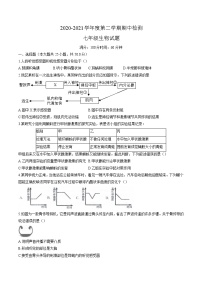 山东省东营市广饶县2020-2021学年下期中考试七年级生物（word版，含答案）