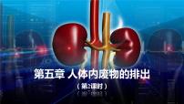 生物七年级下册第五章 人体内废物的排出课文配套课件ppt