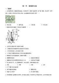 2020-2021学年第一节  植物的生殖达标测试