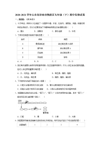 2020-2021学年山东省济南市槐荫区七年级下学期期中生物试卷（word版 含答案）