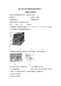 2021年中考生物重难实验冲刺练习：观察叶片的结构（答案解析版）