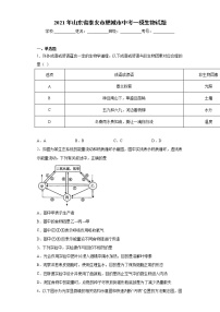 2021年山东省泰安市肥城市中考一模生物试题（word版 含答案）