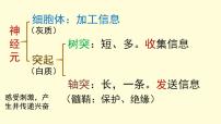 初中生物北京版七年级下册第一节 神经系统的组成教课ppt课件