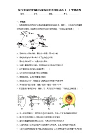 2021年湖北省黄冈市黄梅县中考模拟试卷（一）生物试题（word版 含答案）