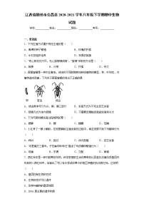 江西省赣州市会昌县2020-2021学年八年级下学期期中生物试题（word版 含答案）