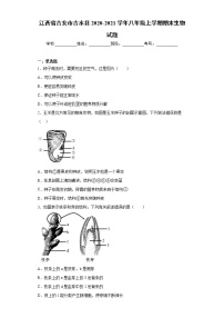 江西省吉安市吉水县2020-2021学年八年级上学期期末生物试题（word版 含答案）