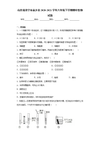 山东省济宁市金乡县2020-2021学年八年级下学期期中生物试题（word版 含答案）