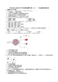 广西2018-2020年中考生物试题分类（1）——生命的结构层次(含解析)