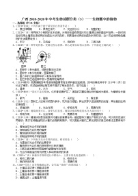 广西2018-2020年中考生物试题分类（3）——生物圈中的植物(含解析)