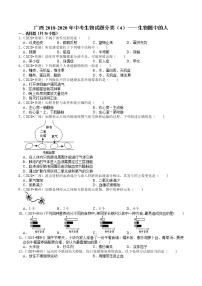 广西2018-2020年中考生物试题分类（4）——生物圈中的人(含解析)