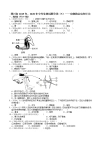 四川省2019年、2020年中考生物试题分类（5）——动物的运动和行为(含解析)