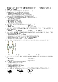 湖南省2019、2020年中考 （5）——动物的运动和行为(含解析)