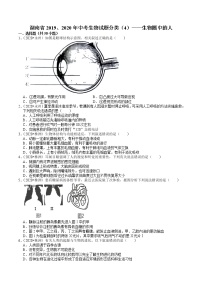 湖南省2019、2020年中考 （4）——生物圈中的人(含解析)