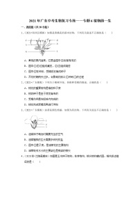 2021年广东中考生物复习专练——专题6植物的一生