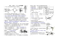 2021年中考生物一轮复习：鲁科版第四单元 基础知识检测题