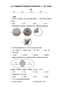 2021年福建省泉州石狮市初中学业质量检查（一模）生物试题（word版 含答案）